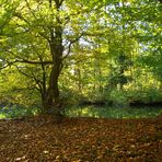 stille wege (4) nachmittag