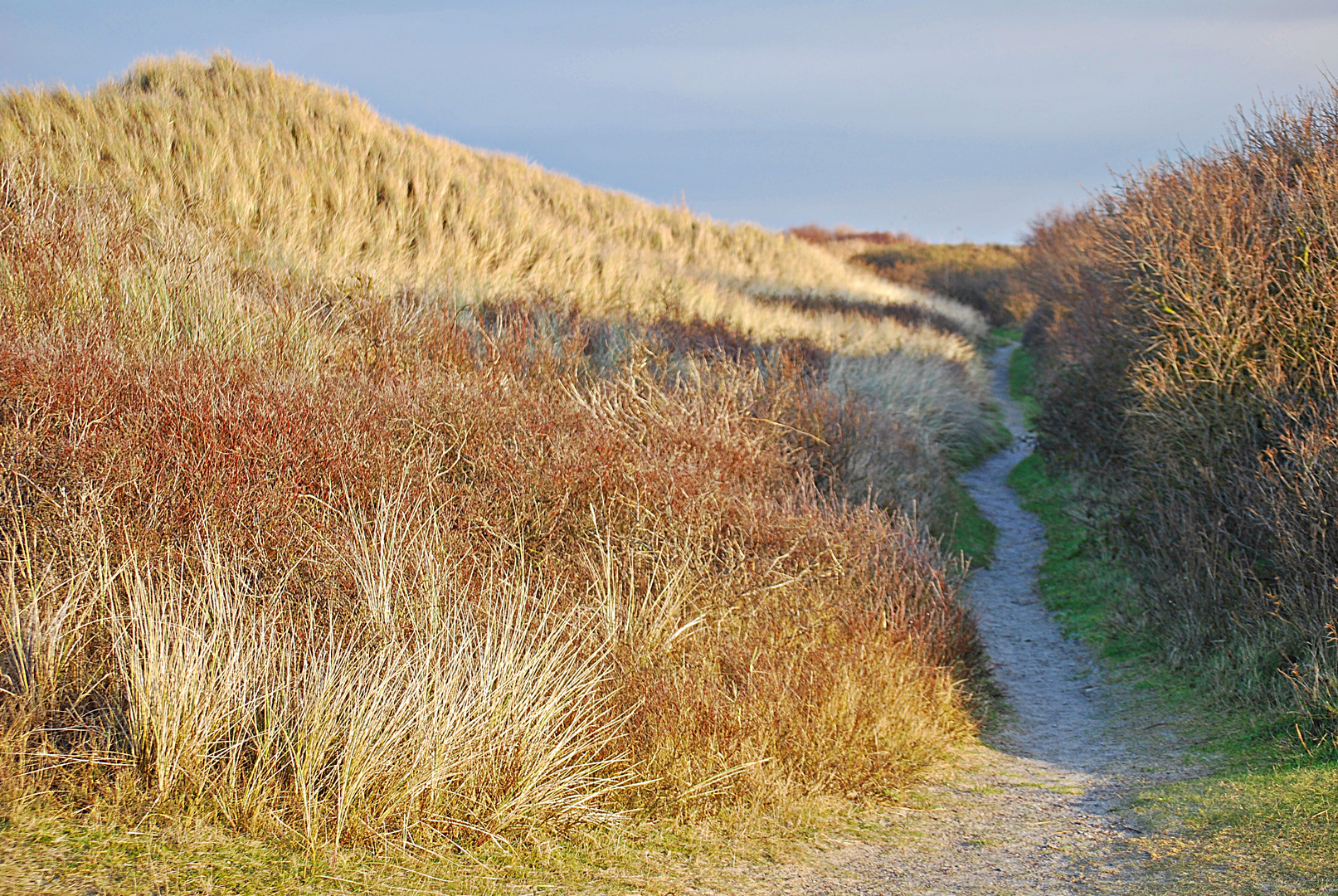 stille Wege...