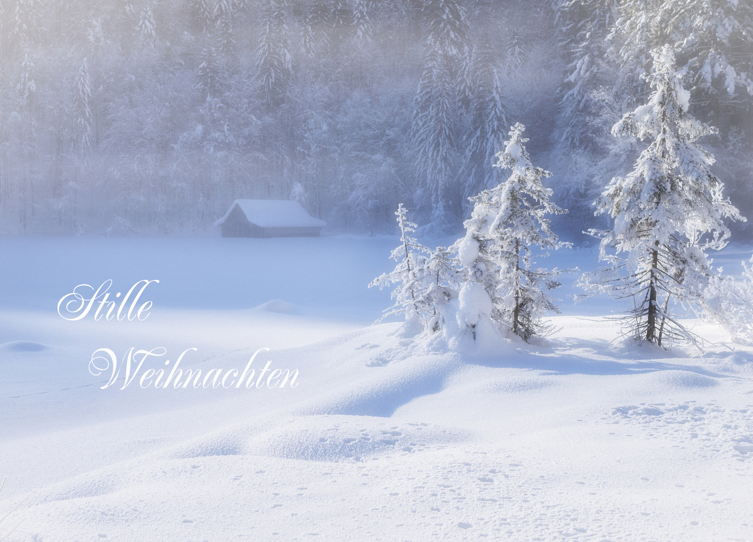 Stille Weihnachten Foto & Bild weihnachten, spezial, winter Bilder