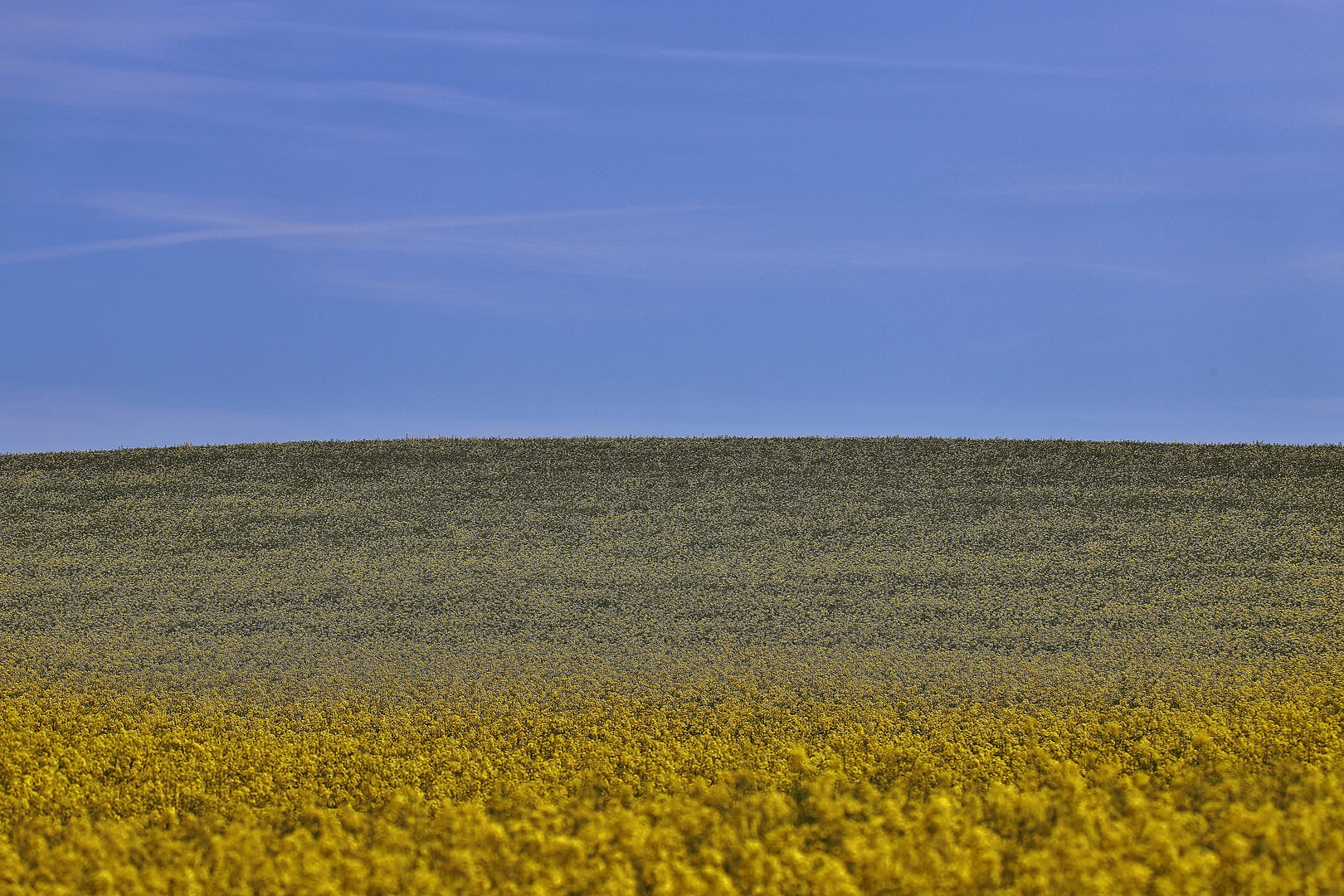 Stille, Weite, Farben...