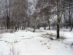 Stille Winterlandschaft