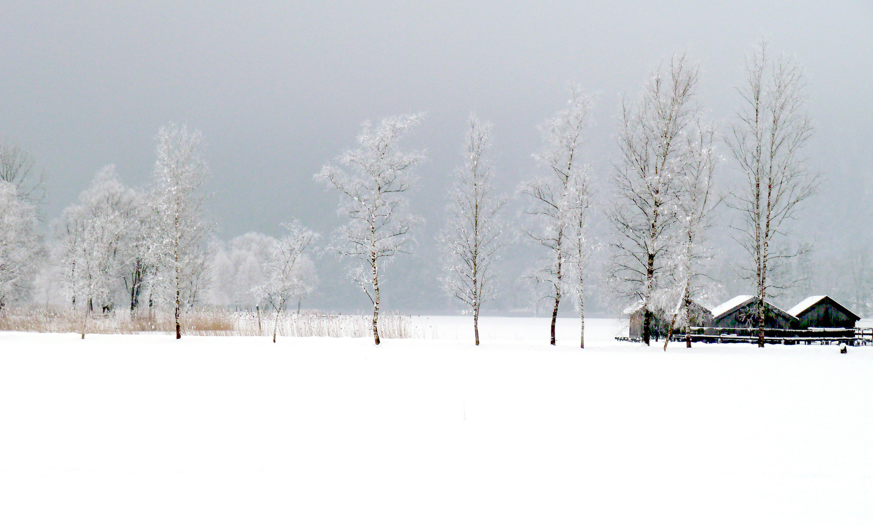 Stille Winterlandschaft