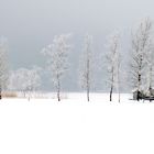 Stille Winterlandschaft