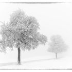 Stille - Winterstimmung im Vogtland