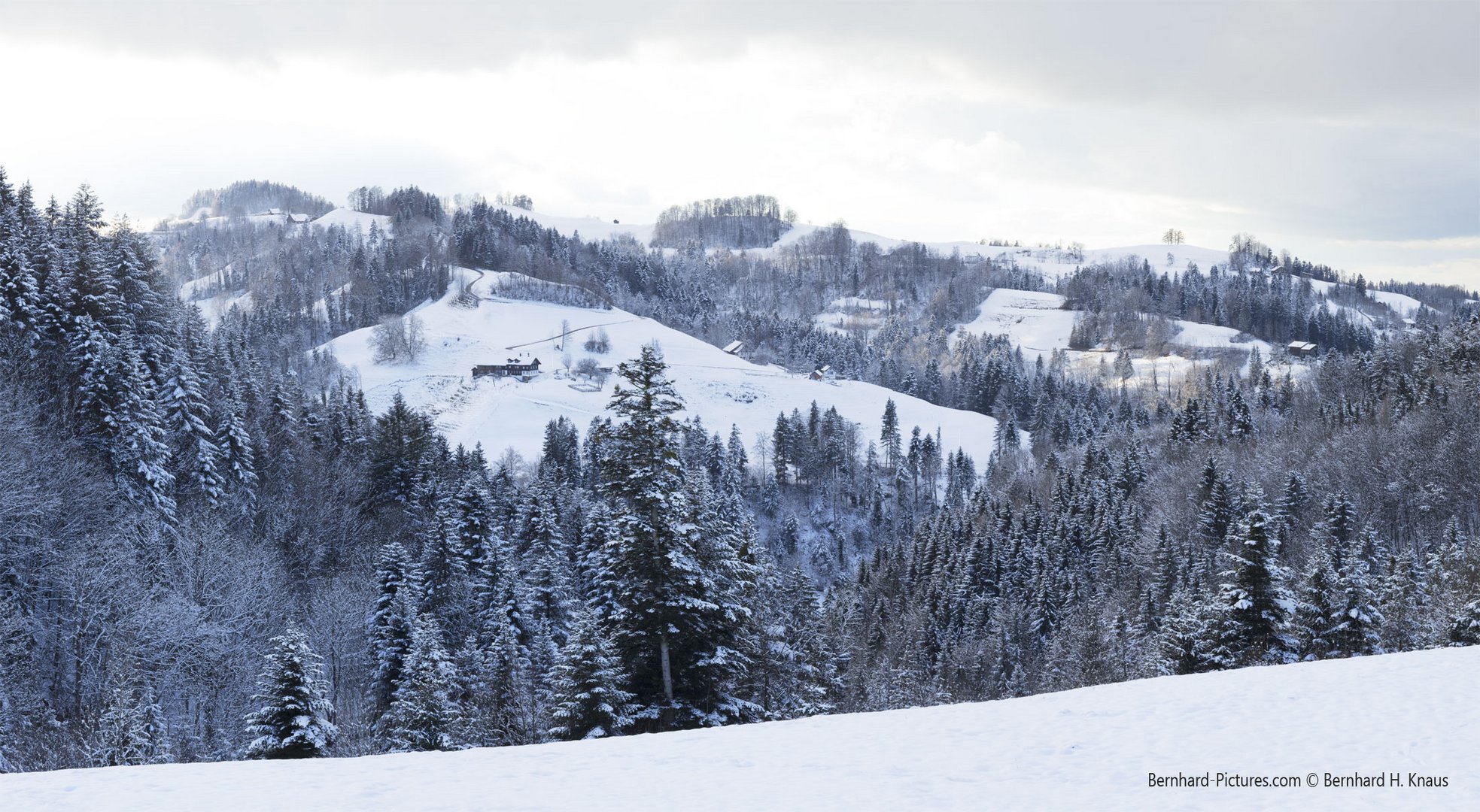 Stille Winterzeit im Zürcher Oberland