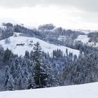 Stille Winterzeit im Zürcher Oberland