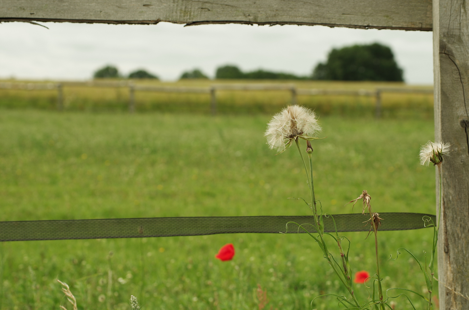 Stille Zeit des Sommers