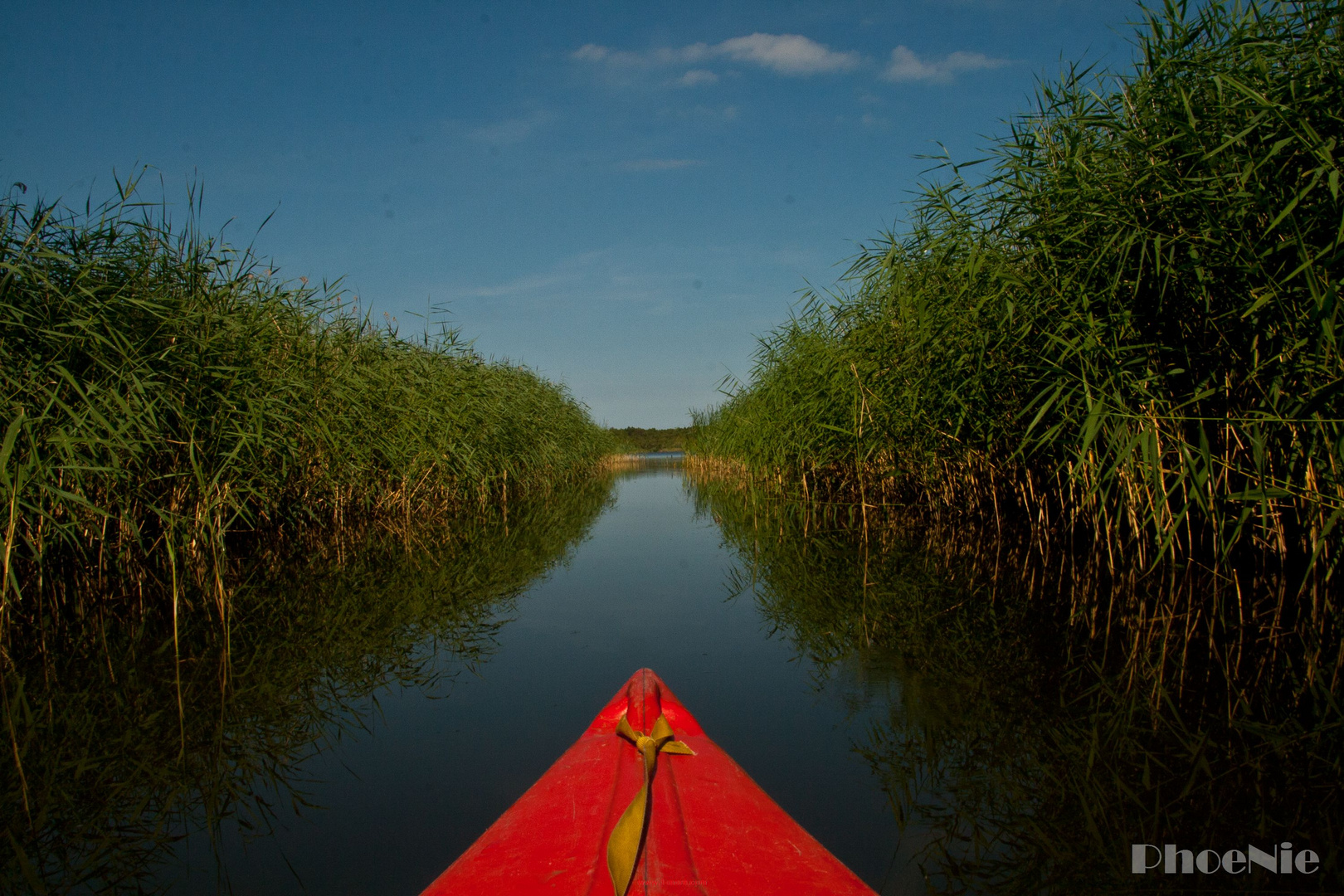 stille zwischen dem Schilf