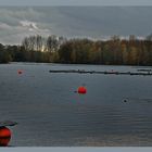 Stille....am Unterbacher See