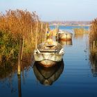 Stilleben am Bodden in Ribnitz