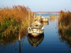 Stilleben am Bodden in Ribnitz