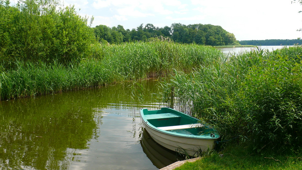 Stilleben am Dobbertiner See (Mecklenburgische Seenplatte)