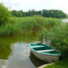 Stilleben am Dobbertiner See (Mecklenburgische Seenplatte)