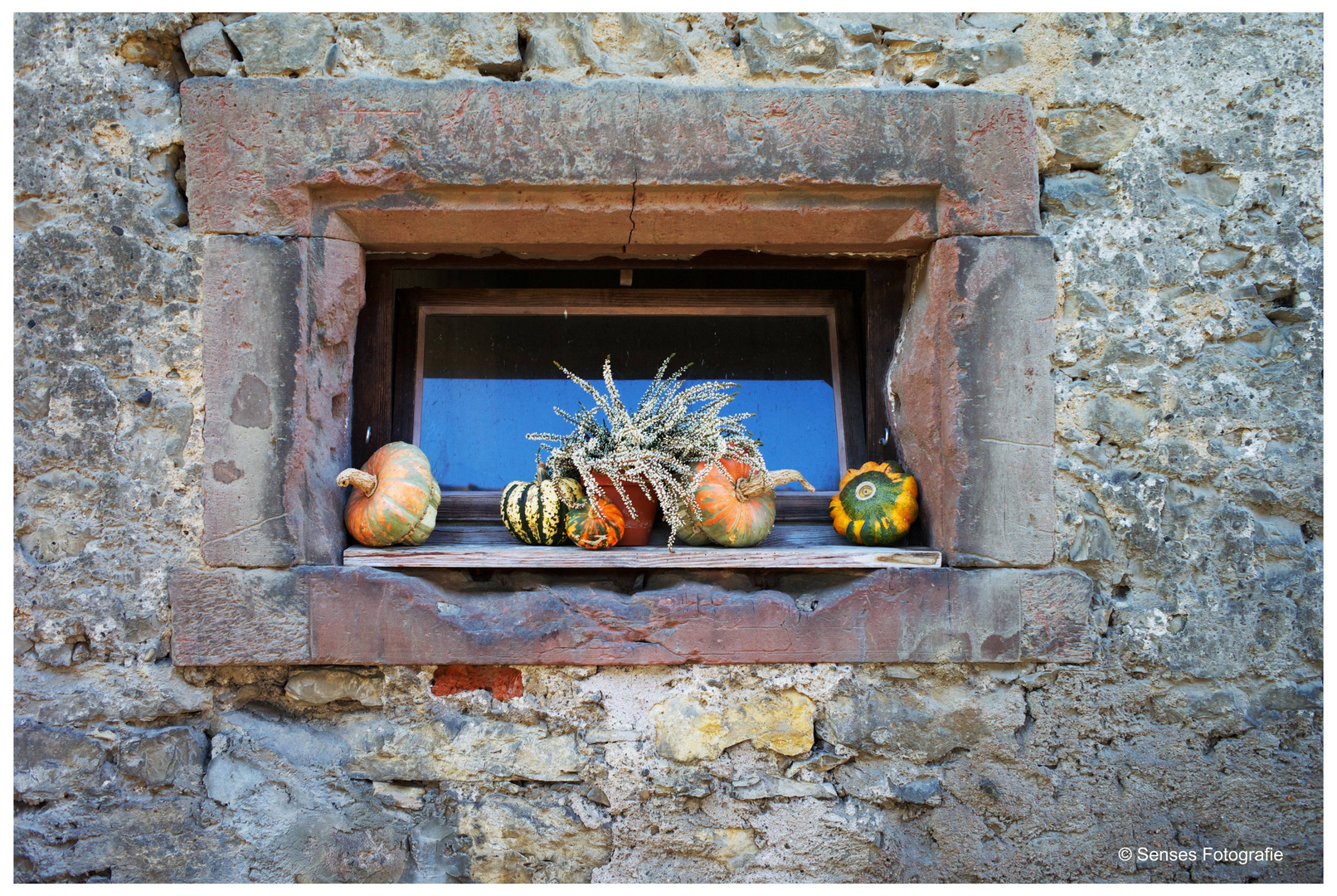 Stilleben am Fenster