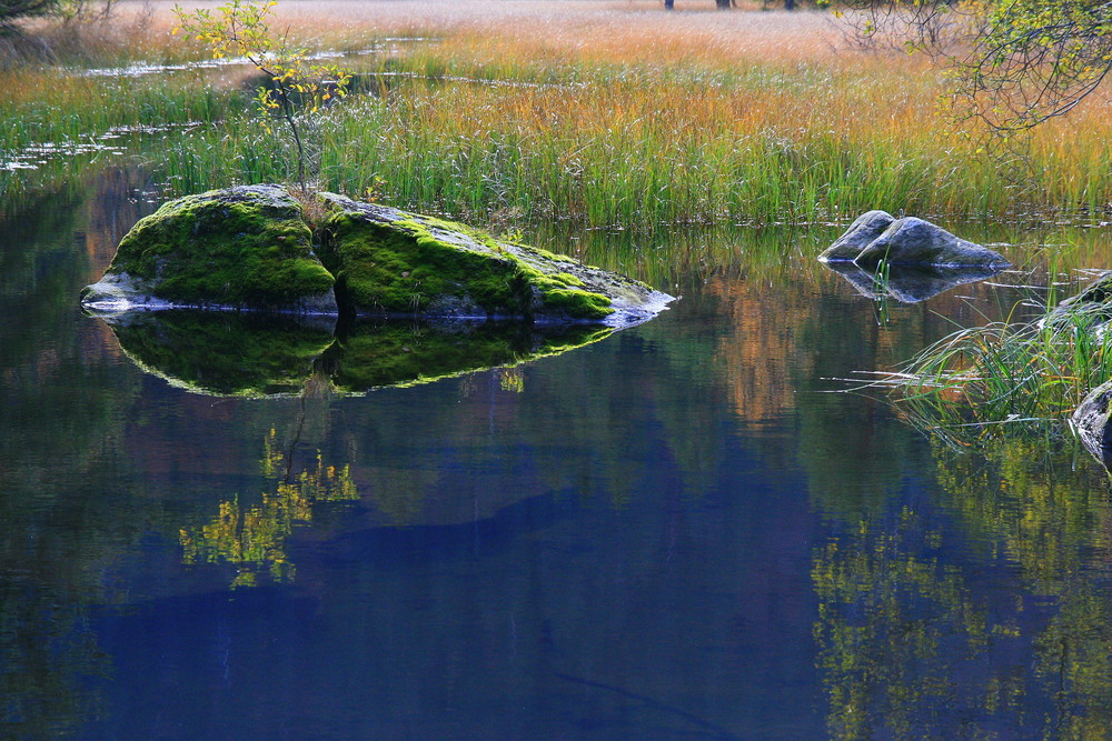 Stilleben am See