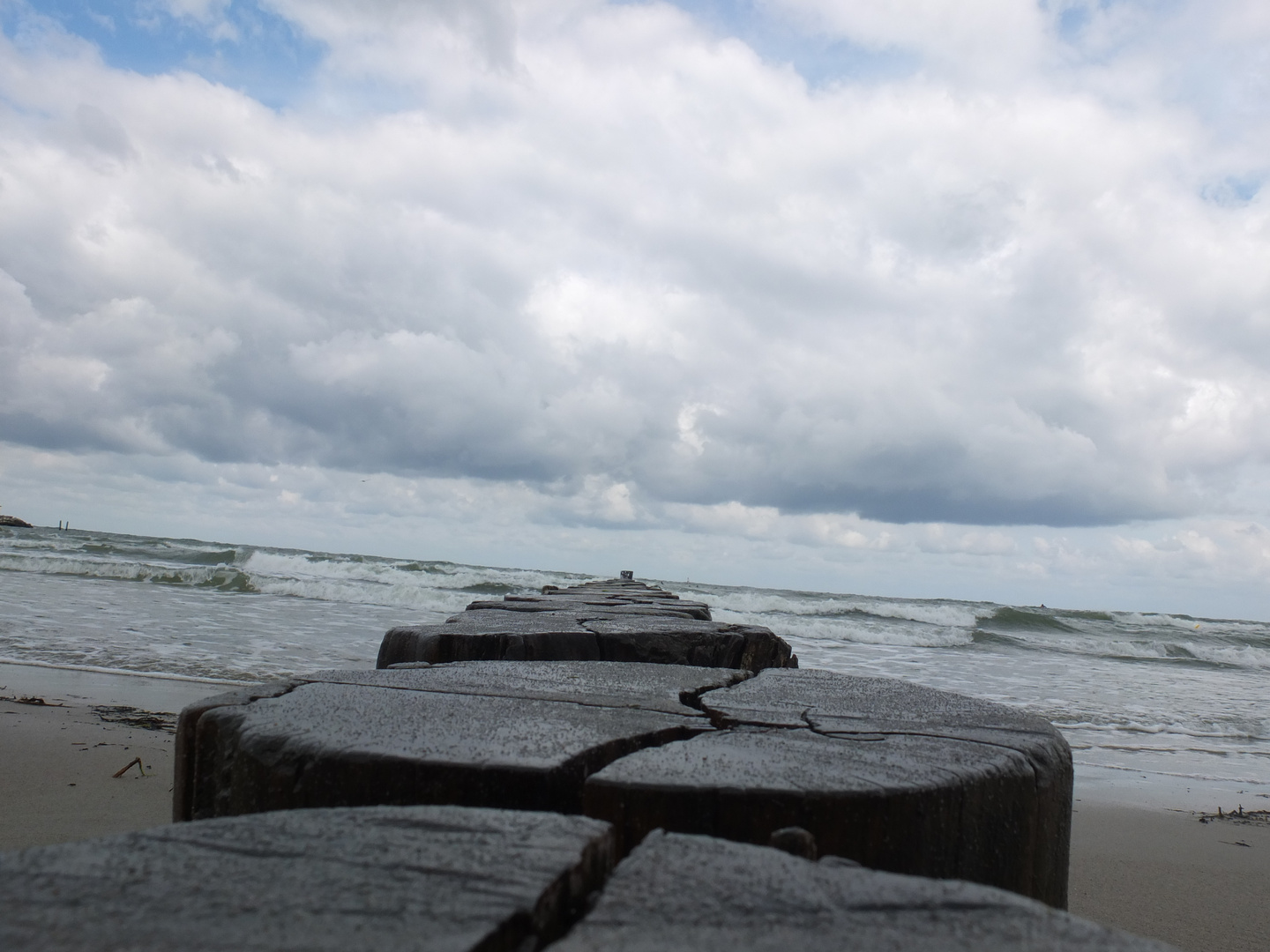 Stilleben an der Ostsee