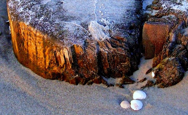 Stilleben an der Ostsee