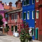 Stilleben auf Burano