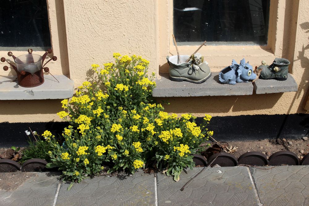 stilleben auf der Begrenzungmauer am Sitzplatz