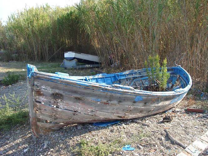 Stilleben auf Elba