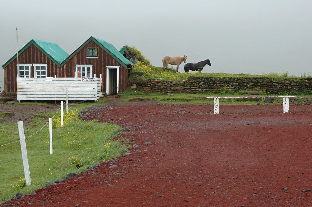 Stilleben auf Island