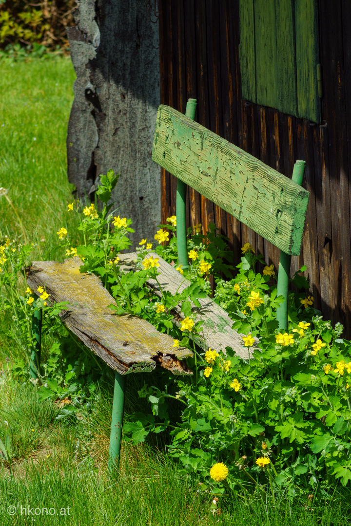 Stilleben Bank mit Blumen