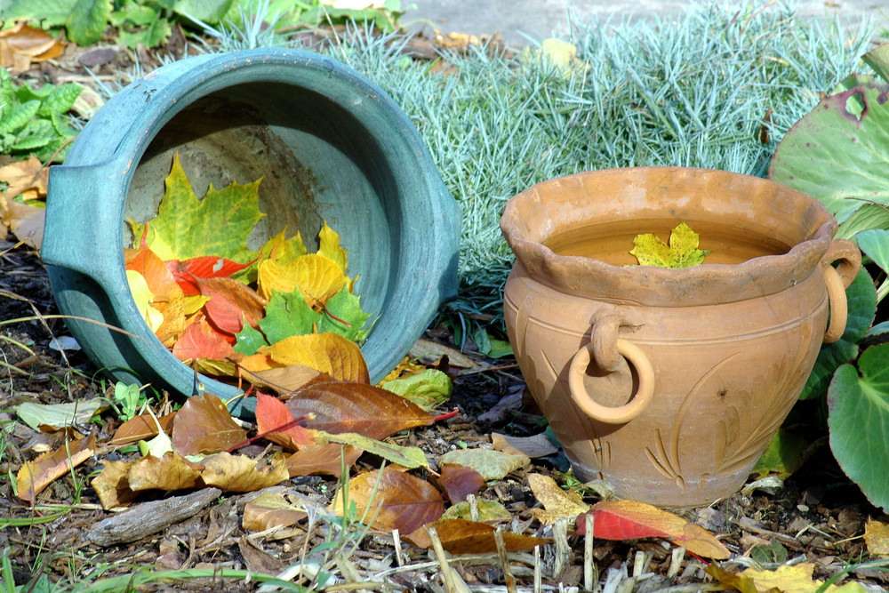 Stilleben im Garten von Karlh. Hiltl