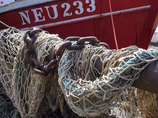 Stilleben im Hafen