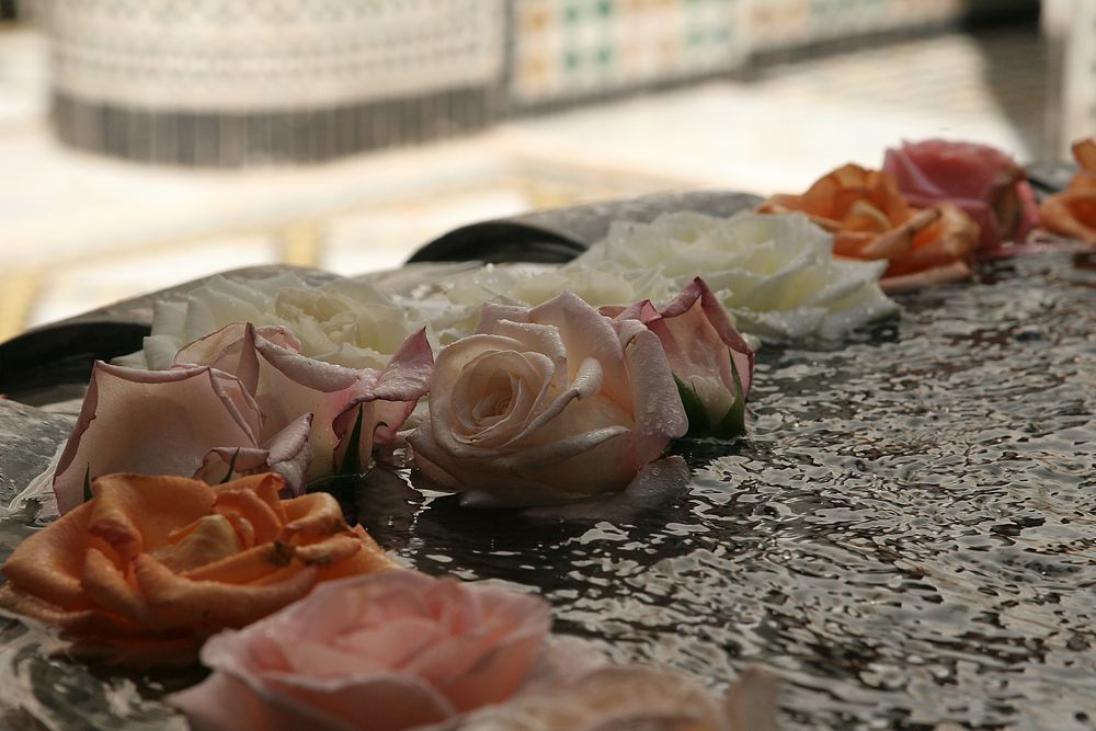 Stilleben im Riad - Marrakech 2