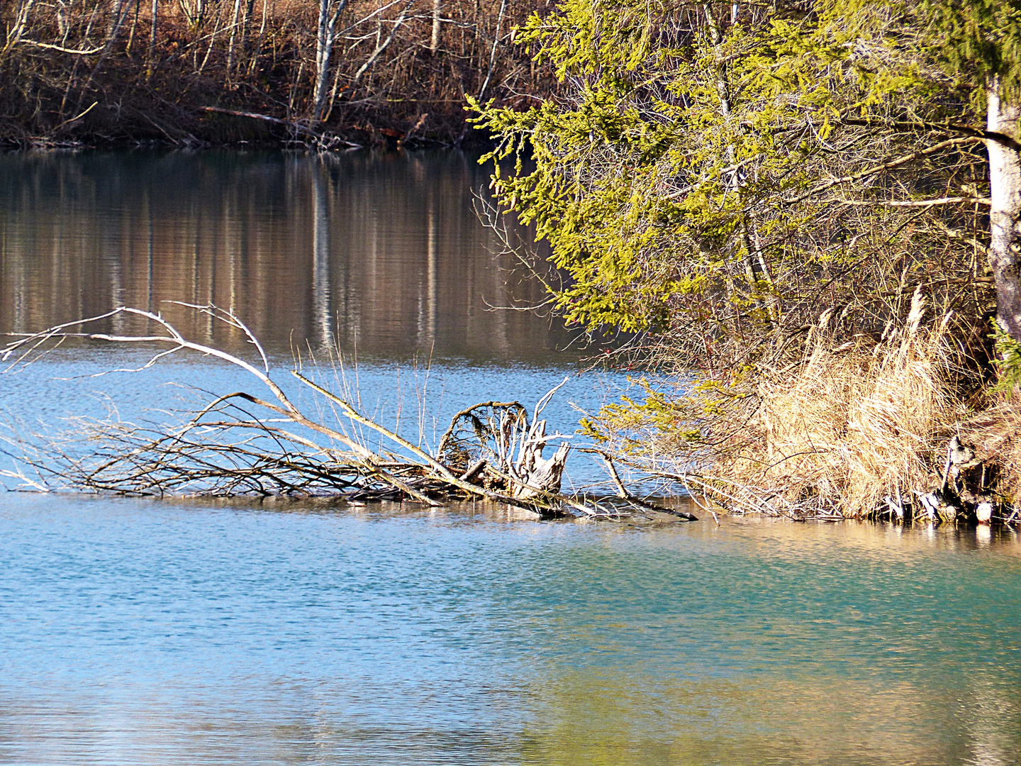 Stilleben im See