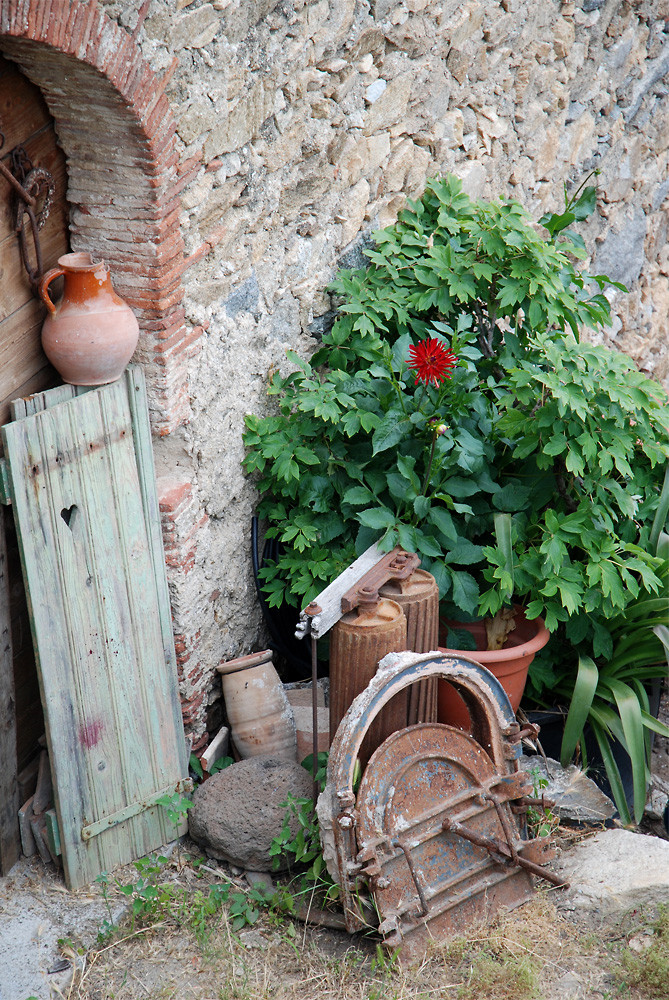 Stilleben in der Provence