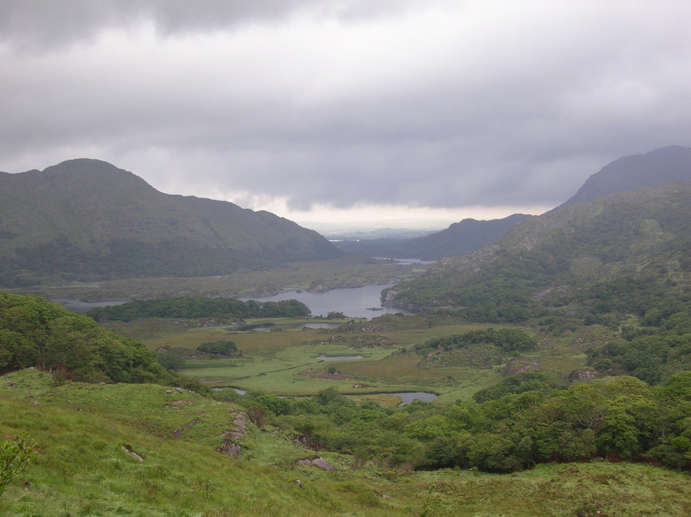 Stilleben in Irland