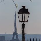 Stilleben in Paris
