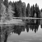 Stilleben Lac de la Gruyere