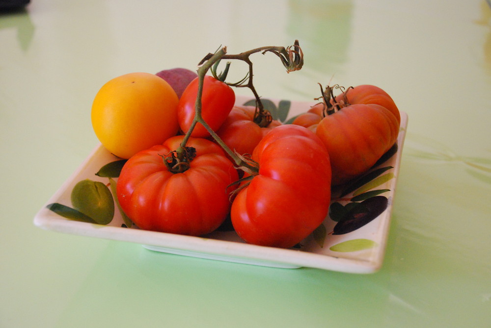 Stilleben mit Tomaten