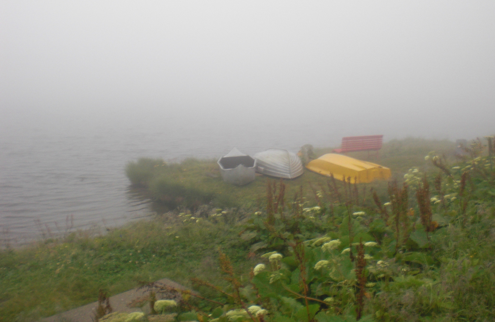 Stilleben - Nebel am See (San Bernadino)