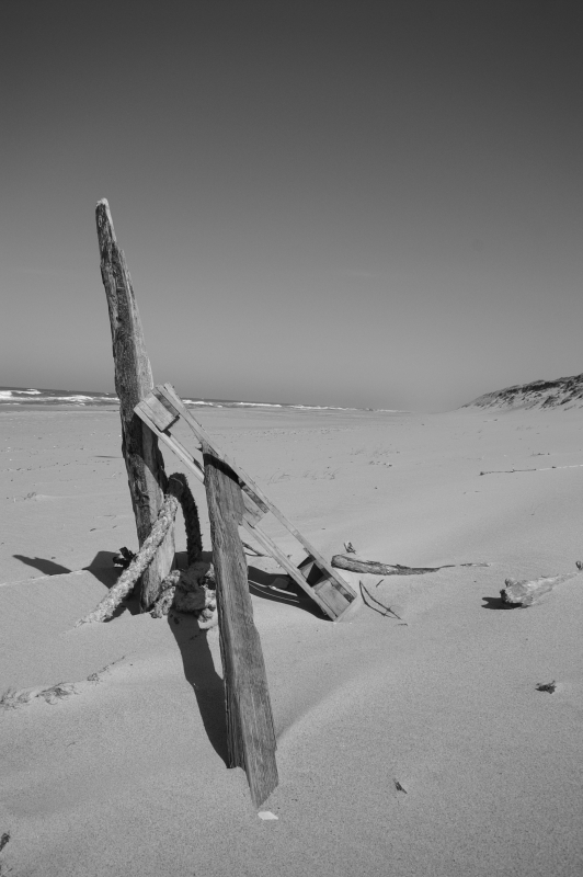 Stilleben Thyborøn Strand