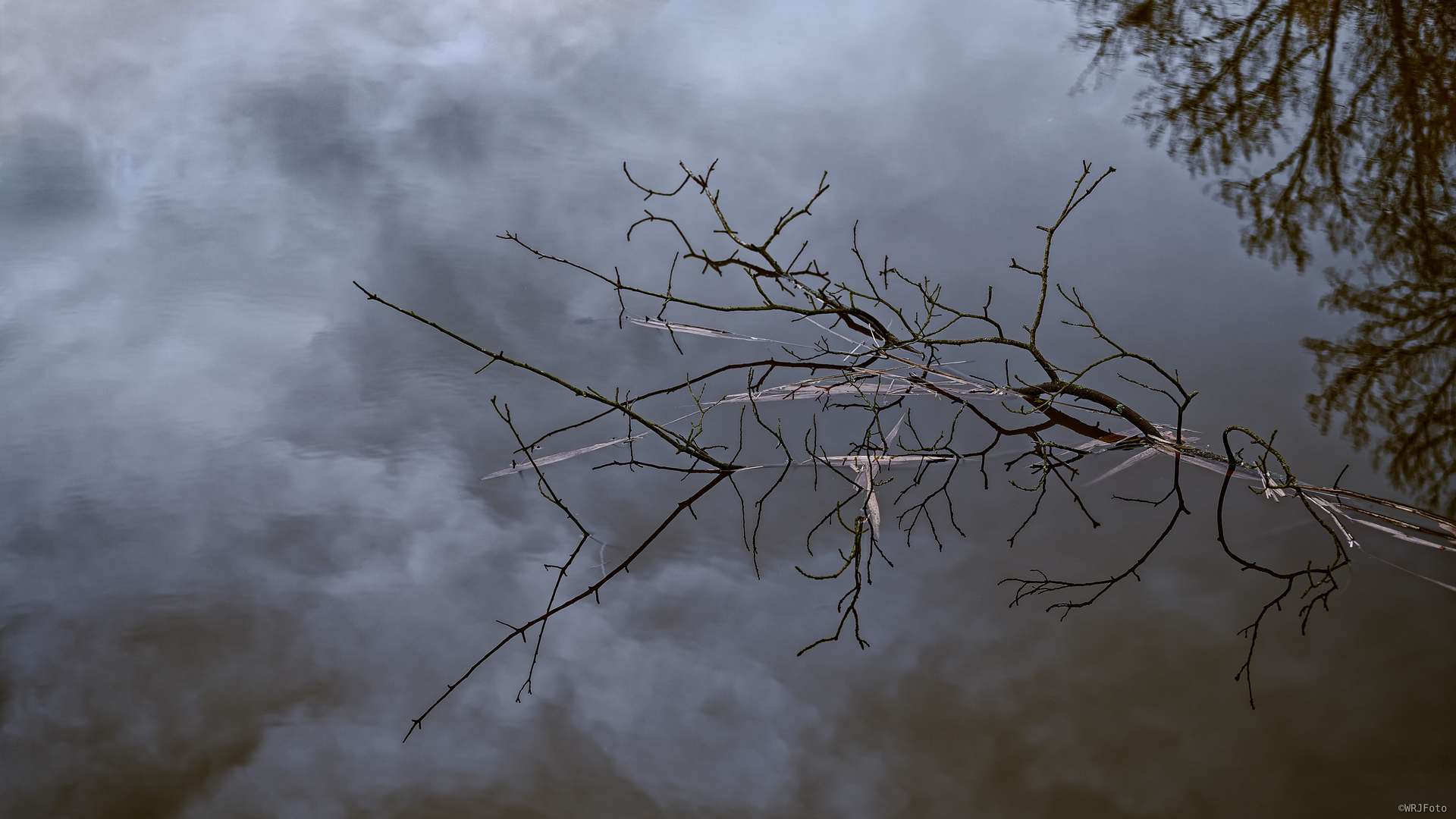 Stille.im.Herbst