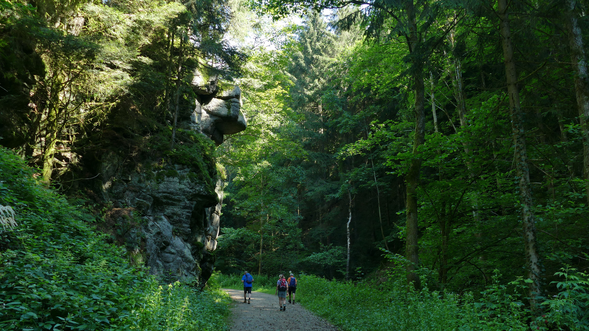 Stillensteinklamm Natur pur