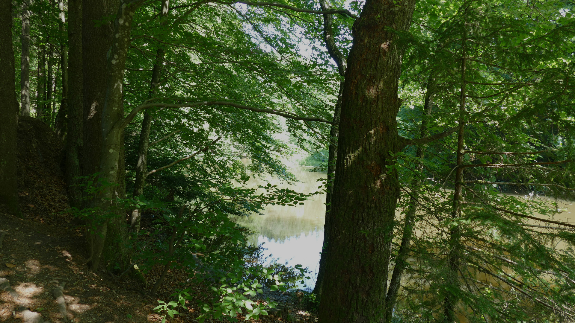 Stillensteinklamm Wasser beruhigt