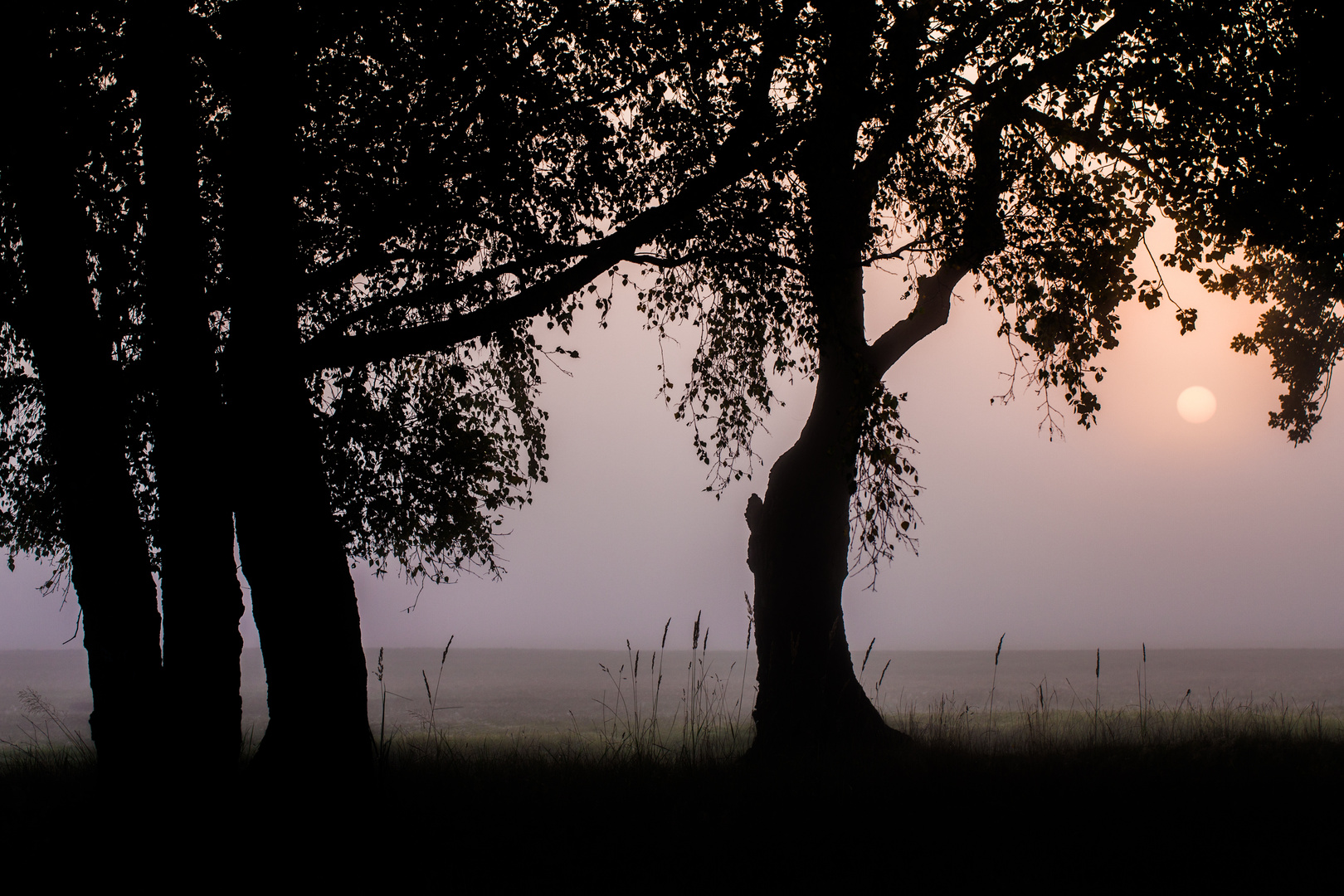 Stiller Abschied vom Sommer...-