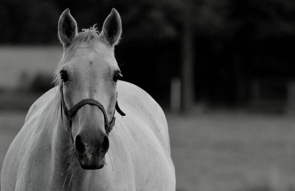 Stiller Augenblick