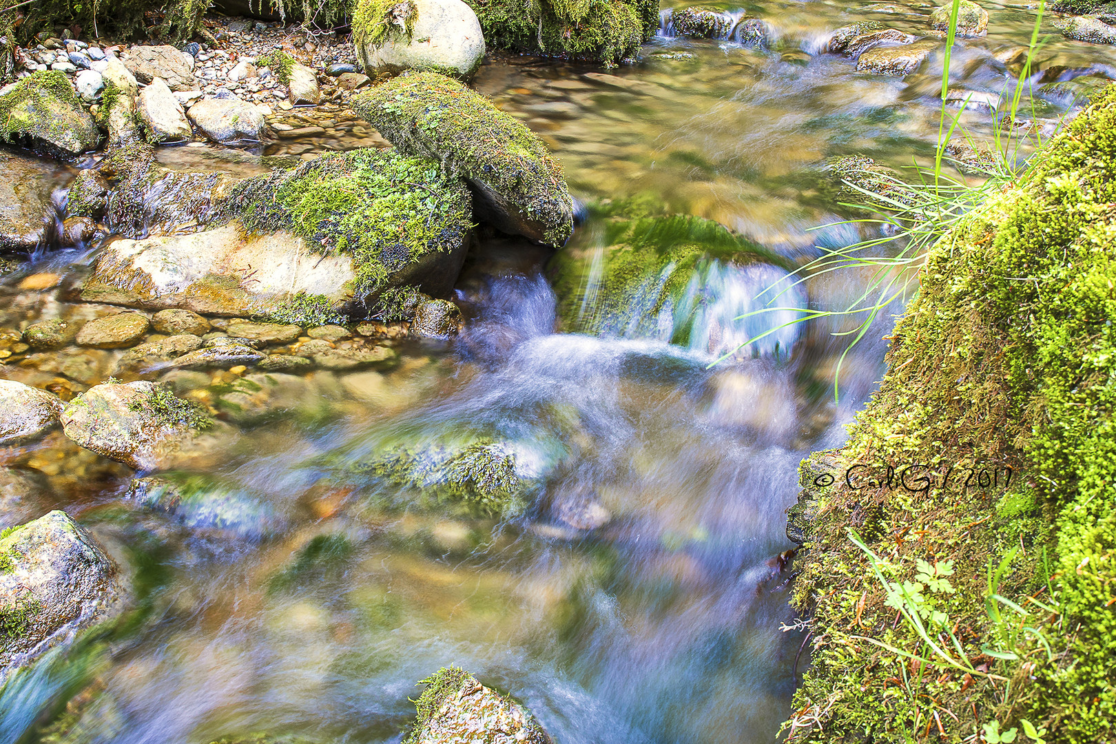 Stiller Bachlauf …