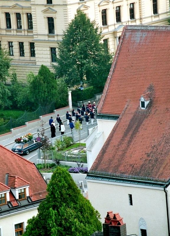 Stiller Beobachter aus der Ferne