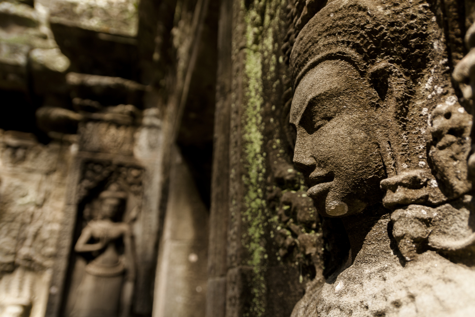 Stiller Beobachter in Angkor Wat