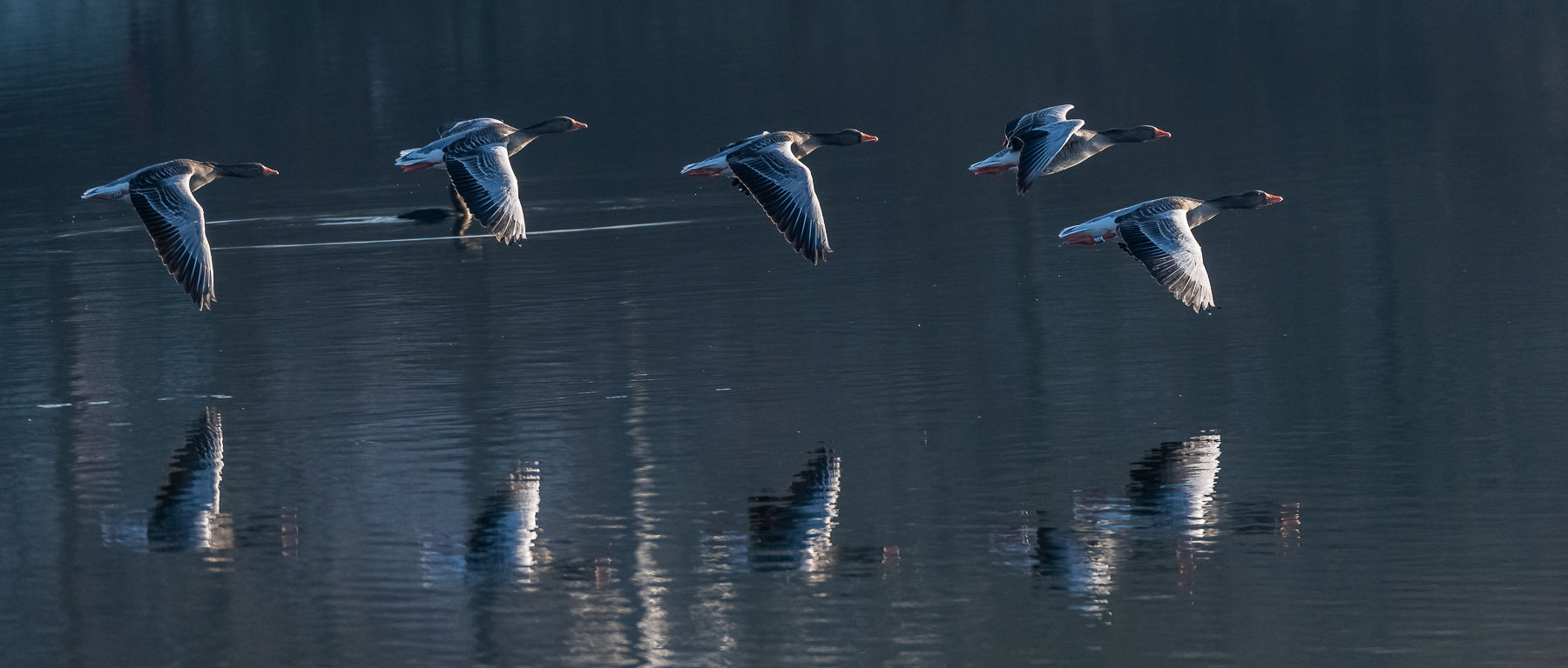 Stiller Flug