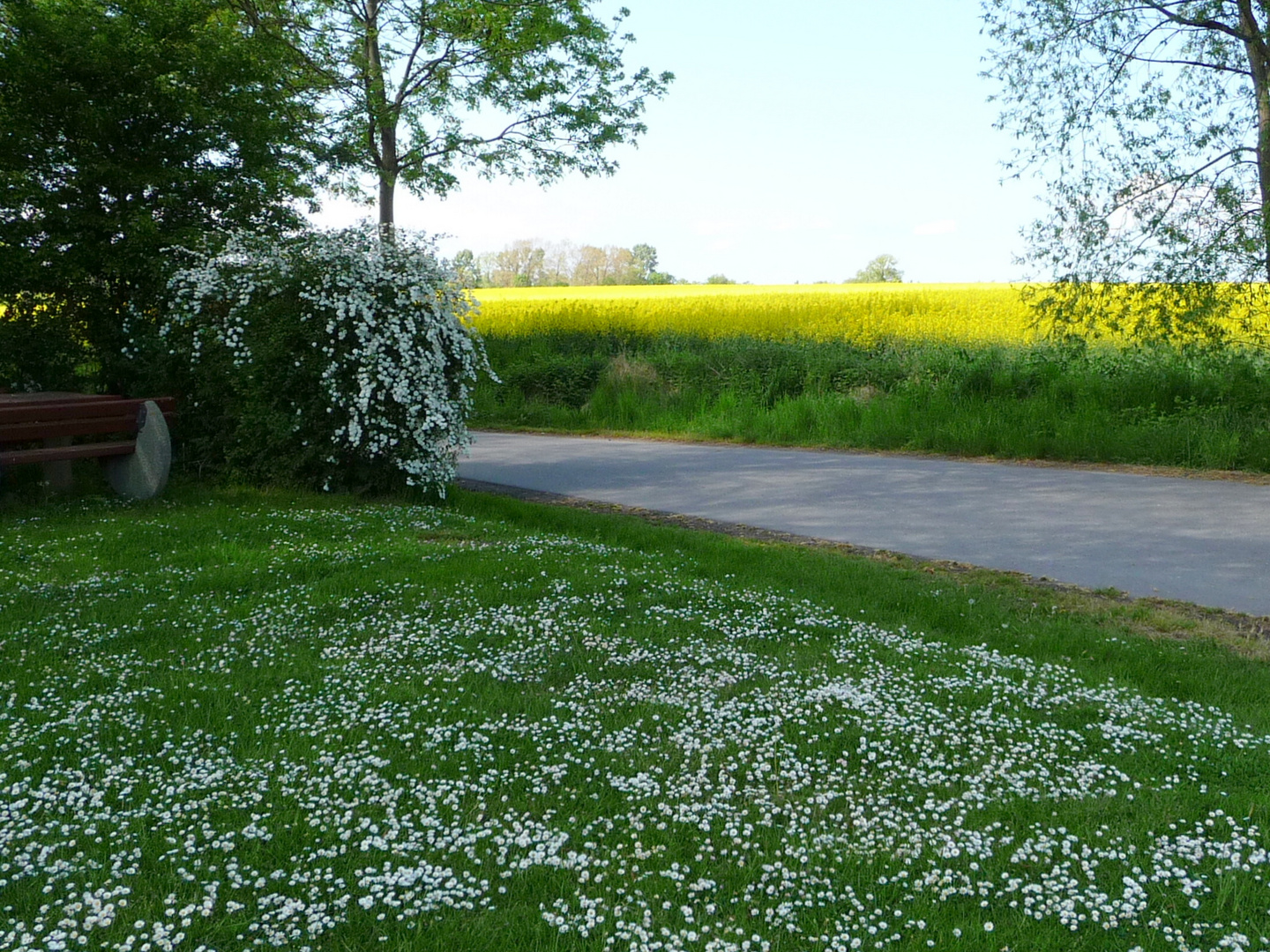 Stiller Frühlingswinkel