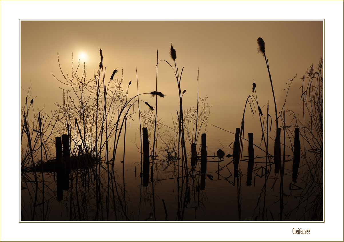 Stiller Morgen am Greifensee