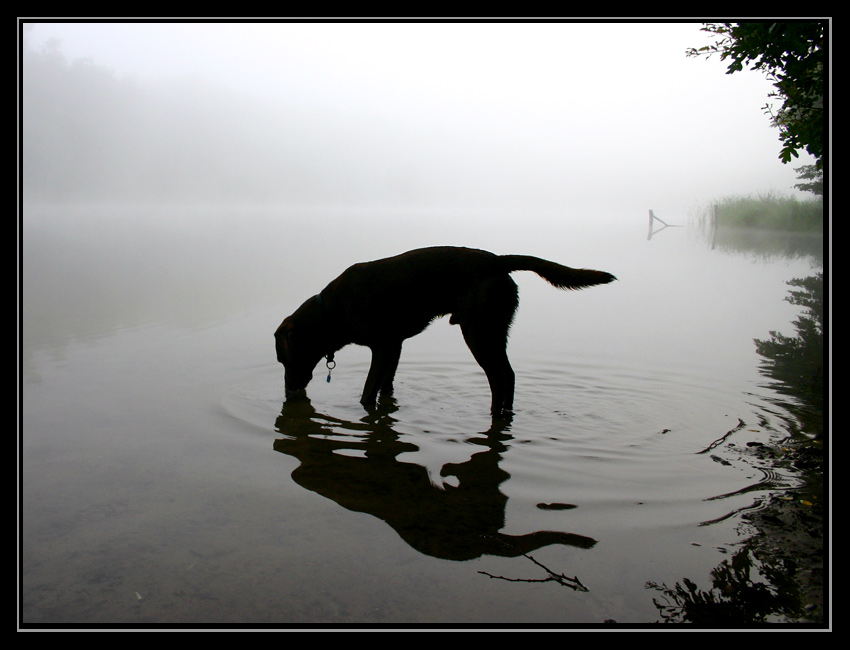 Stiller Morgen am Grunewaldsee