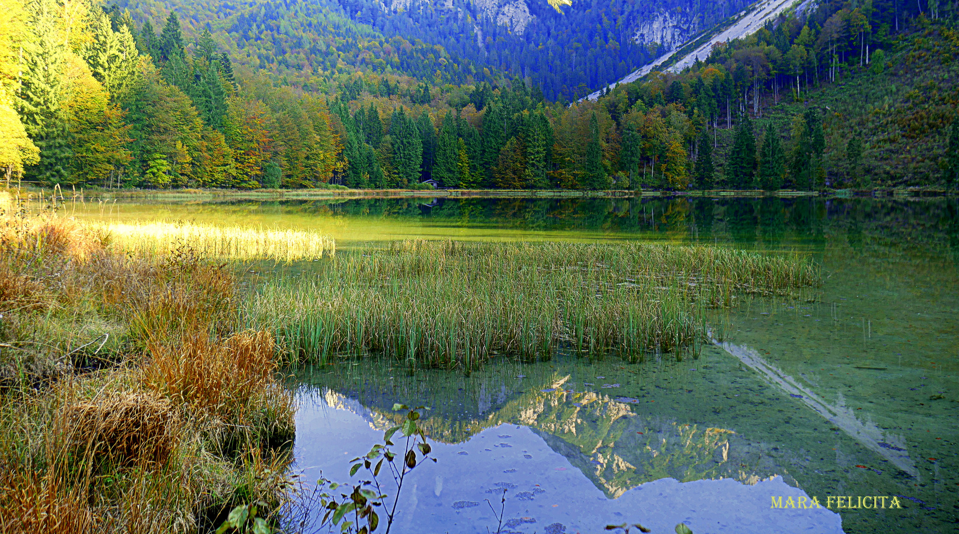 STILLER NACHMITTAG AM SEE